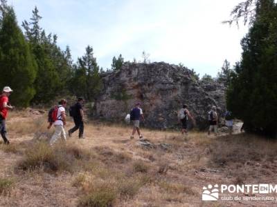 Ciudad Encantada de Tamajón - Retiendas - Almiruete; a tu aire;cascadas;taxus baccata